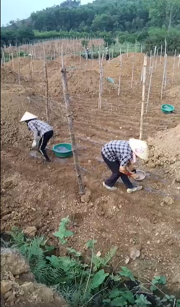 Nông sản sạch từ tâm