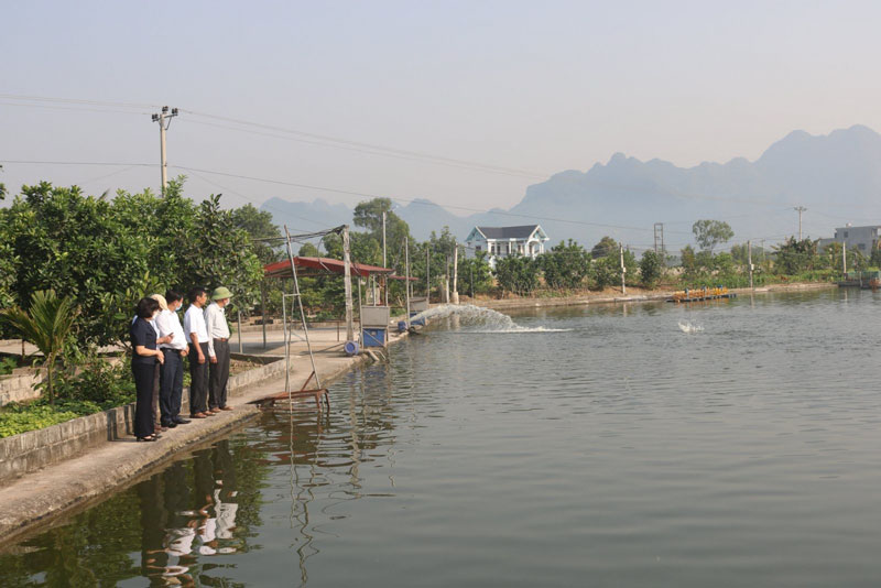 Hợp tác xã thủy sản Ninh Bình: Cơ hội và thách thức