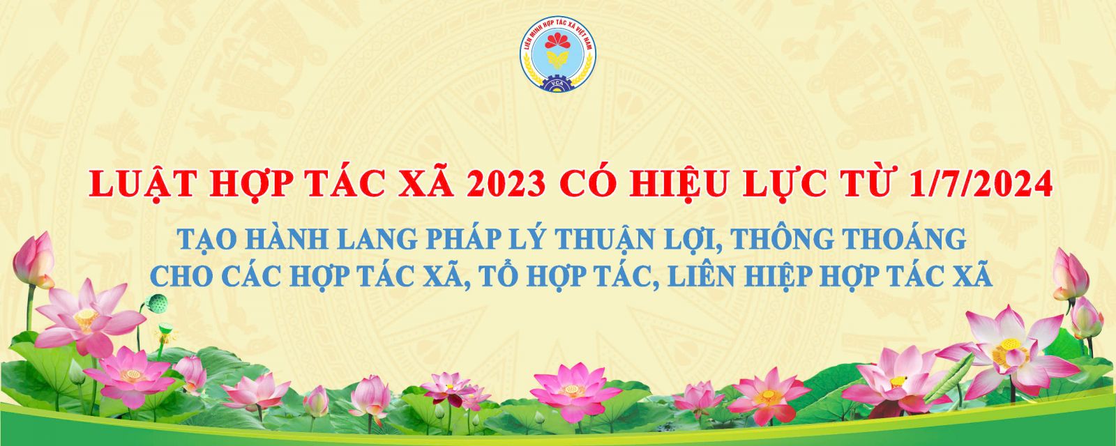 Luật hợp tác xã