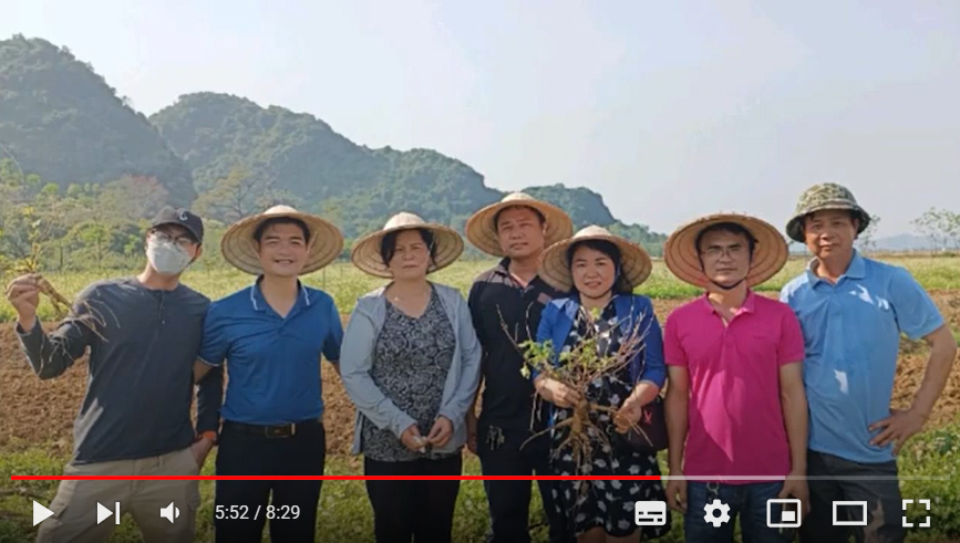 Ra mắt sản phẩm sâm Cúc Phương Bochi