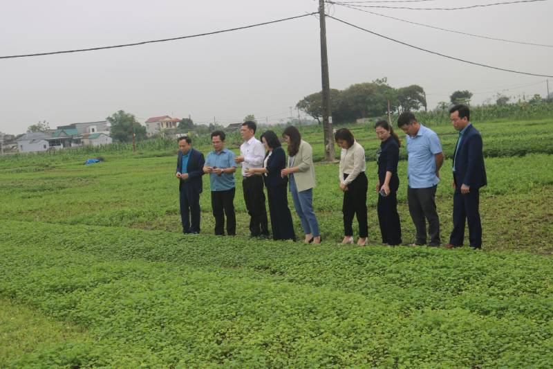 Một số giải pháp để nâng cao hiệu quả công tác quản lý nhà nước đối với kinh tế tập thể, hợp tác xã trên địa bàn tỉnh Ninh Bình