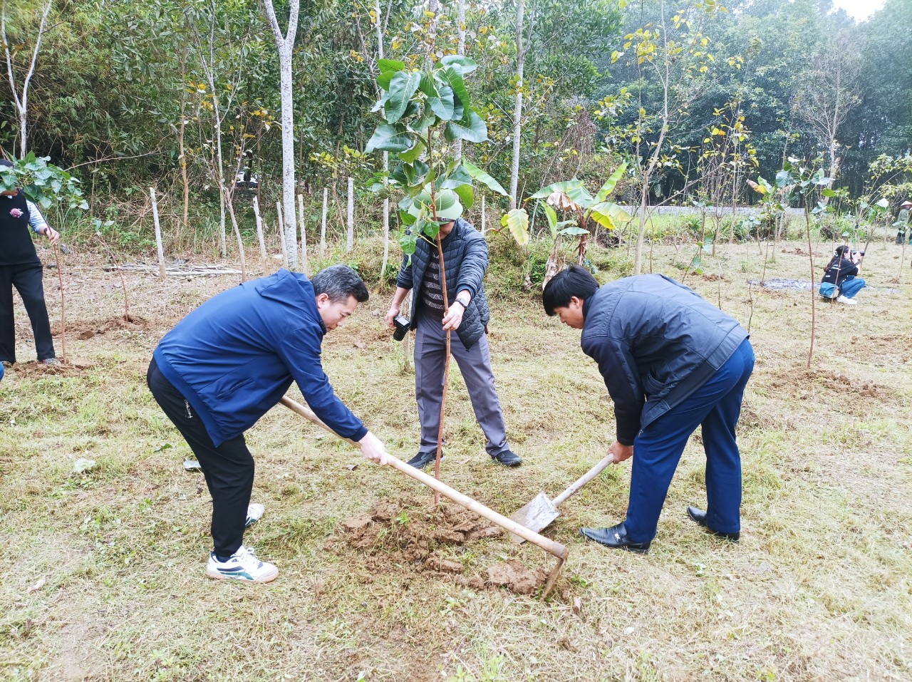 HTX Sinh Dược tổ chức phát động trồng cây Bồ đề nhân dịp Xuân Quý Mão